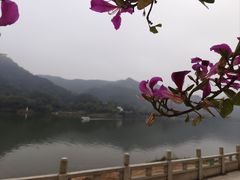 -飞霞风景名胜区