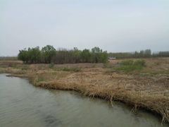 -微山湖红荷湿地景区