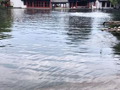 -百脉泉景区