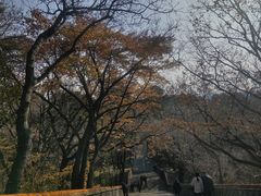 -沈阳市东陵公园