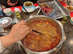 -金鼎雪山牦牛杂火锅(理县总店)