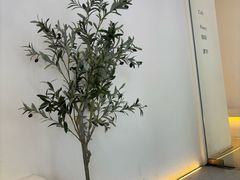 -伊斯坦布尔土耳其清真咖啡餐厅