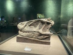 -自贡恐龙博物馆