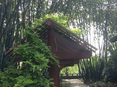 望江公园&nbsp;(4)-望江楼公园