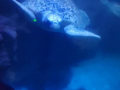 -乌鲁木齐海洋馆