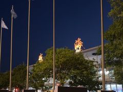 -威海大水泊国际机场