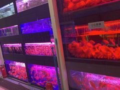 -三旗百汇商品城