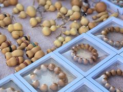 -中环花鸟鱼虫市场