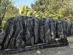-云南勐巴娜西珍奇园