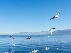 -大理无舍度假酒店