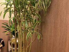 -苏小柳点心·手作小笼包(浦东嘉里城分院)