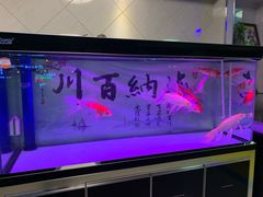 -陈老大冷饮厅(金街广场店)