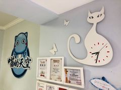 -喵的天空名猫咖啡馆·撸猫·猫舍·用品