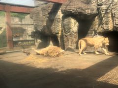 -南昌动物园
