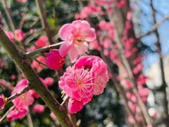 -徐家汇公园