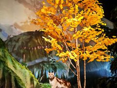 -湖南省地质博物馆