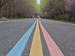 -同里国家湿地公园