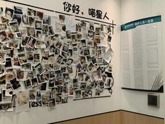 -瑞派·关忠动物医院·猫专科·犬专科(三环新城店)