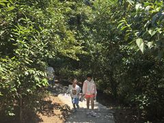 -敬亭山风景名胜区