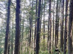 -白草畔自然风景区