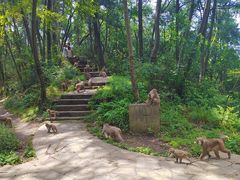 -黔灵山公园