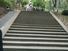 -峙山公园