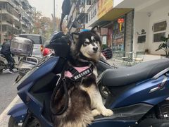 -朱大嘴肥肠血旺(福字街店)