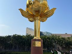 -金莲花广场