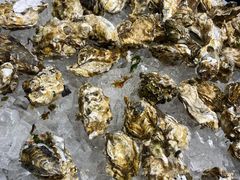 -半岛听涛蒸汽海鲜自助(K11店)