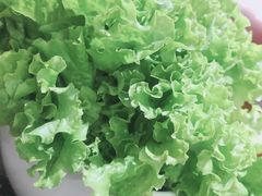 -海花锅盖烧烤店(怡馨家园店)