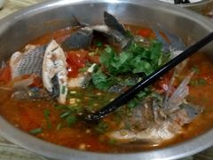 -风鑫铃罗非鱼(道沟店)