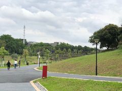 -东莞植物园