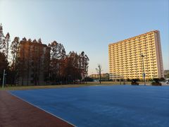 -上海财经大学(国定路校区)