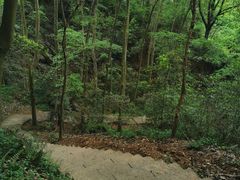 -九曜山