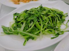-天宫南铂玫瑰园酒店