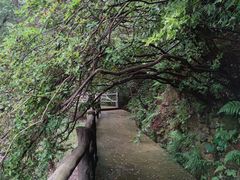 -黄陂区野村谷景区