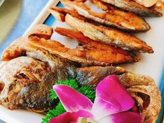 -墨脱石锅椰子鸡•香草鸭•东山羊(大东海店)