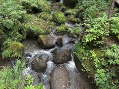 -五营红松林海景区