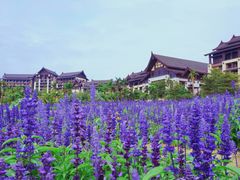 -清远熹乐谷温泉度假酒店