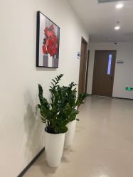 -丰联丽格医疗美容·联合丽格眼整形中心