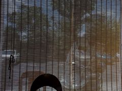 -徽三说·土徽菜·中国徽菜连锁品牌(一中店)