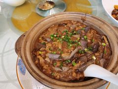 -清远恒大酒店·寻味清远