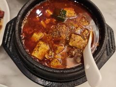 -陈麻婆豆腐总店