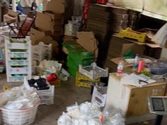 -马陆小张葡萄园农家乐