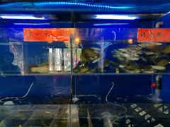 -德叔阙里·衢州菜馆(月湖店)
