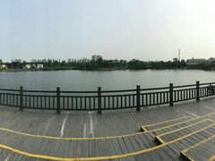 -上海长兴岛郊野公园