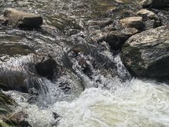 -秦岭终南山世界地质公园翠华山景区