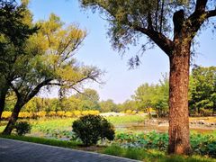 -北京小汤山医院体检中心