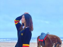 -东海岛旅游度假区