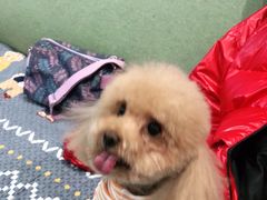 -北京恒爱动物医院(清景园分院)